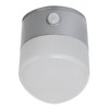 Luceco LED-Solar-Wandlampe mit PIR- Bewegungsmelder Grau 200lm