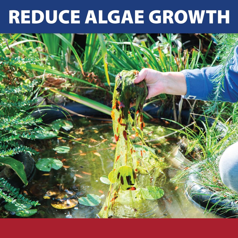 The Pond Guy InstaFix Algae Control, Outdoor Water Garden, Fountain