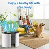 360 Glass HEPA + Carbon Filter Replacement for Dyson TP10