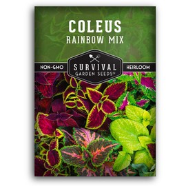 Survival Garden Seeds Rainbow Mix Coleus Seed for Planting - 1 Packet with Instructions to Plant and Grow Shade Tolerant Coleus in Your Home Garden - Non-GMO Heirloom