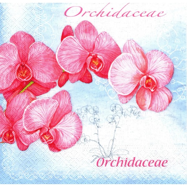 (2) Two Paper Lunch Napkins for Decoupage/Mixe