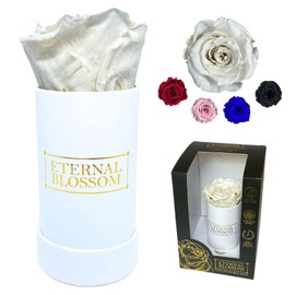 Eternal Blossom Preserved Real Infinity Rose | Eternal Rose That Lasts Over A Year White Box | With Gift Box (Lace White)