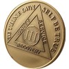3 Year AA Medallion Premium Bronze Sobriety Chip Serenity Prayer