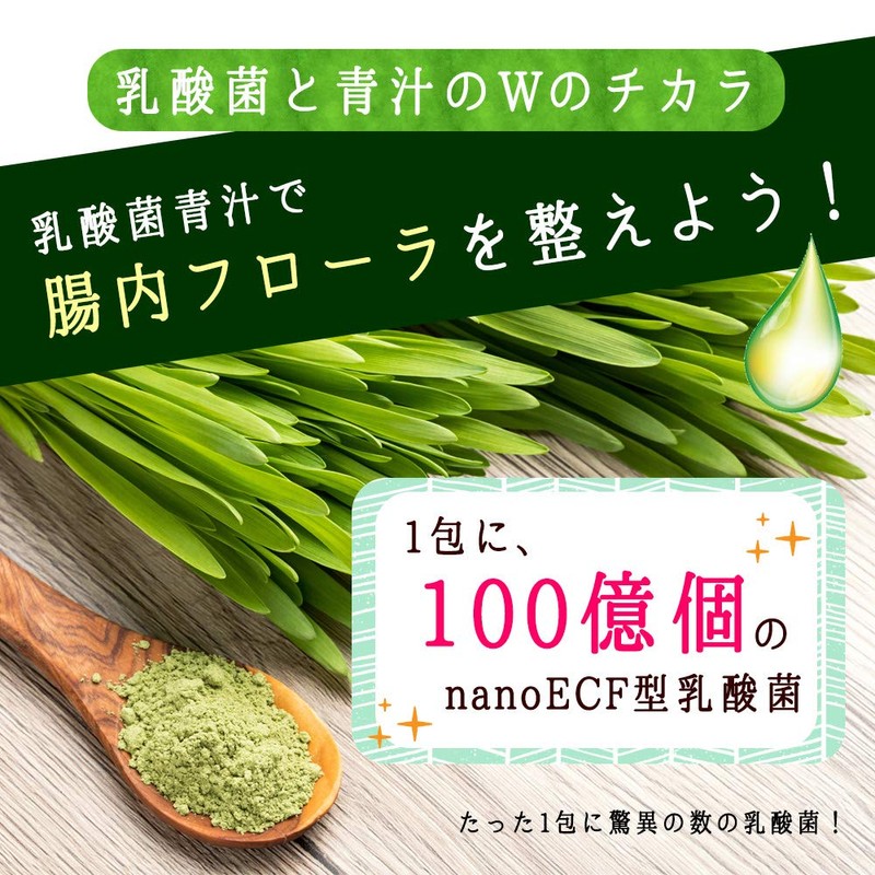 光生 青汁 乳酸菌 酵素 入り 国産 9週間分 189g (3g ×