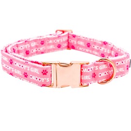Lionheart glory Valentine's Day Collar, Pink Hearts Dog Collars for Medium Cute Dog Collars Spring Female Pet Gift Adjustable Heavy-Duty Dog Collar Holiday