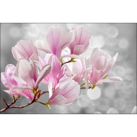 Muralo Photo Wallpaper Flowers 150 x 225 cm Non-Woven Wallpaper Magnolia Look Living Room Bedroom Modern Wall Pictures XXL Plants Nature Wall Decoration