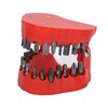 Denture Drill Bit Holder Teeth Model Shaped Full Opening Screwdriver