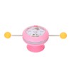 Windmill Spring Interactive Cat Catnip Toy Funny Cat Turntable Teasing