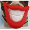 Dukes Pet Products Smiling Mouth Squeaky Dog Toy Novelty Chew