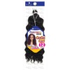 FreeTress Synthetic Hair Crochet Braids GoGo Curl 12" (4-Pack, 1B)