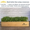 ZESTIGREENS Microgreens Kit: Self-Watering Tray, Seeds, Mats, Bamboo Frame -