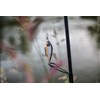 Rapala - Fishing Lure Countdown Elite Construction Balsa - Soft