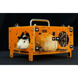 GuineaLoft™ Guinea Pig Cheese House (Double) V2 - The Ultimate Guinea Pig Hideout by Seasoned Owners Who Tried Everything Out There - Exclusive by Guinea Loft