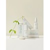 Begin Calming Non-irritating Soothing Moisturizing Toner Mist 30ml / 비긴