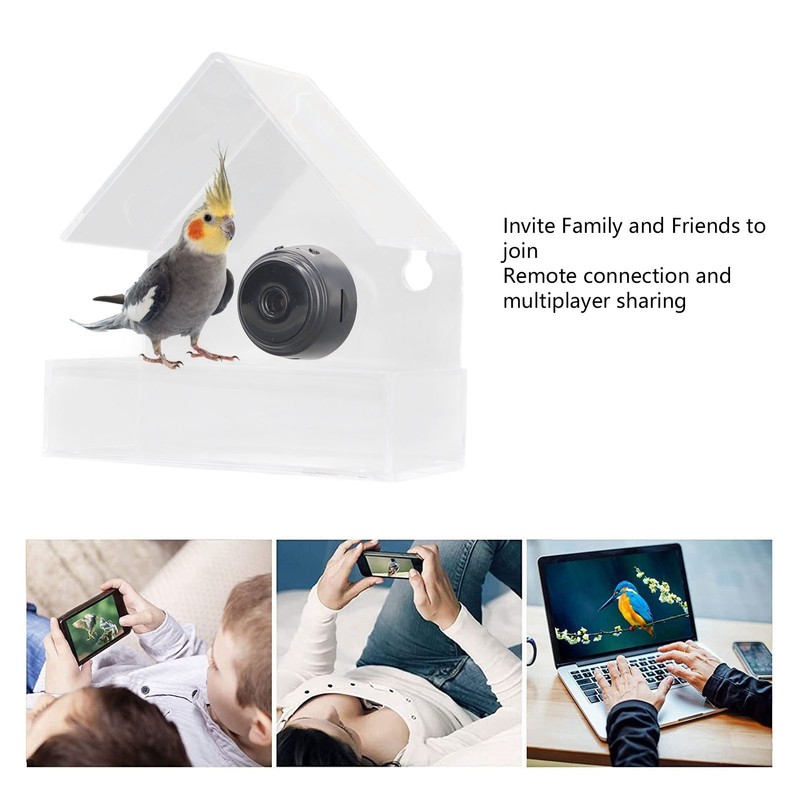 Camera Smart Bird Feeder 720HD Remote Connection Night Vision Clear