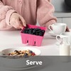 Zeal Fridge Storage Box for Fruits and Berries, Melamine Kitchen