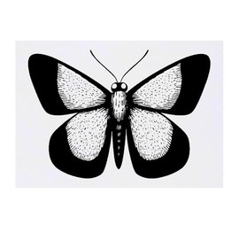 'Open Winged Butterfly' Temporary Tattoo - Water Resistant, Skin-Safe, Non-Toxic Transfer (TO00083373)
