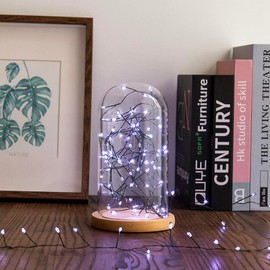 ZELUXDOT Fairy Lights Plug in,50FT 500 LEDs Waterproof String Lights,Green Wire,Firecracker Lights with Remote 8Modes for Indoor Outdoor Christmas Wedding Birthday Patio Garden Decor,Cool White