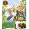 Color Farm Domestically Produced Loquat Leaf Tea Bag 0.1 oz