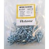 Astone Bright zinc Wood Screw Mini Packs (100, 6 X