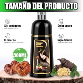 Shampoo con Tinte 3 en 1 Hair Dye Shampoo Negro Cubre Canas al Instante Extracto Jengibre y Ginseng Tratamiento Capilar Colorante 500ml para Todo Tipo