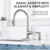 Gagalife Kitchen Sink Soap Dispenser - Brushed Nickel Built in