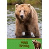 Grizzly Bear Birthday Card