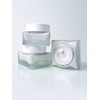 Kaine Vegan Collagen Cream 50ml / 비건 콜라겐 크림 50ml