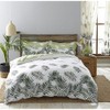 Charlotte Thomas, Fern, Pair of Housewife Pillowcases, Green, 50 x
