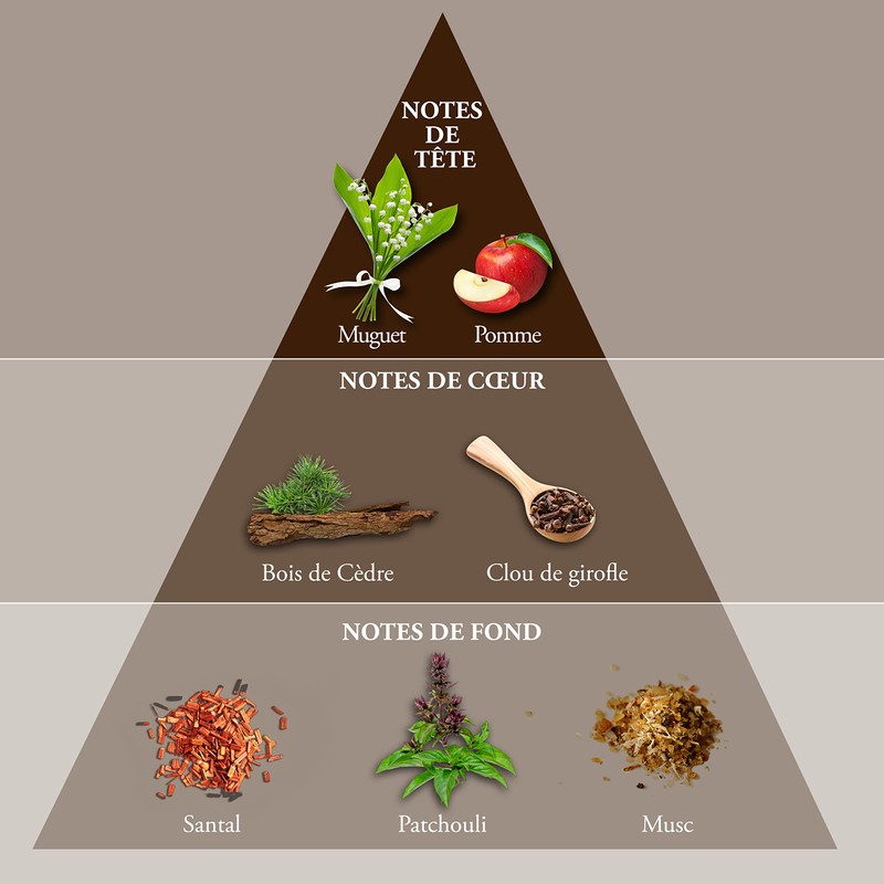 EVAFLORPARIS DOUBLE WHISKY Eau de Toilette for Men – Elegant