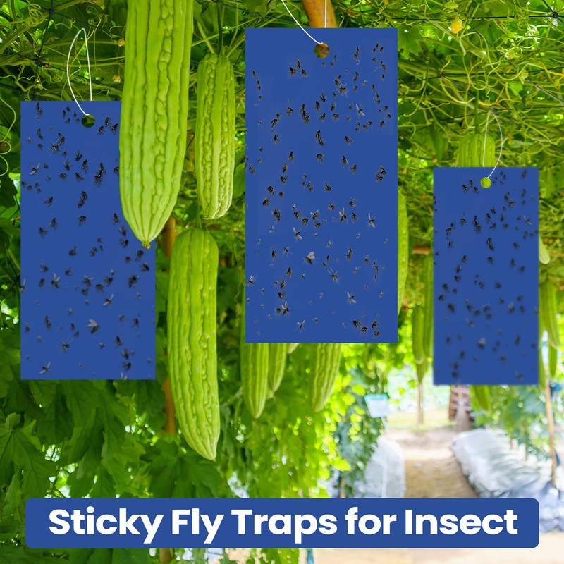 Qualirey 100 Pcs Double Sided Sticky Traps for Flying Plant