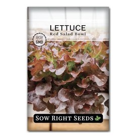 Sow Right Seeds - Red Salad Bowl Lettuce Seeds for Planting - Non-GMO Heirloom Packet with Instructions to Plant a Home Vegetable Garden - Outdoors or Hydroponics Indoors - Frilly and Tasty (1)