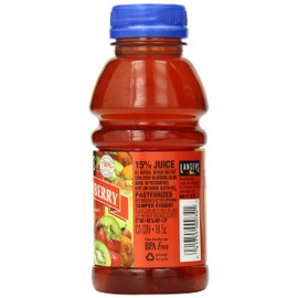 Langers Juice Cocktail, Kiwi Strawberry, 10 Ounce (Pack of 12)