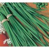 Chives Great Herb Heirloom Vegetable Bulk 15,000 Seeds