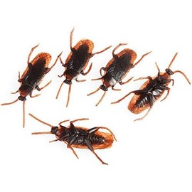 ZhangyiHot 10 Pcs Prank Fake Roaches Simulation Fake Rubber Cockroach Favorite Trick Joke Toys Look Real Realistic Plastic Bugs Novelty Cockroach for Party,Easter Novelty and Gag Toys(ZS210)
