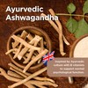 Healthspan Ashwagandha | 60 Capsules | Supports Relaxation & Mental