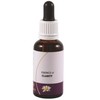 Living Essences Essence Clarity 30ml