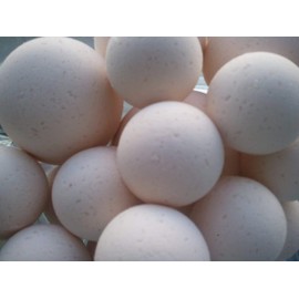 Spa Pure Shea Bath Bombs: 14 Bath Bomb Fizzies with Shea Butter, Ultra Moisturizing ..Great for Dry Skin (Rice Petals & Shea)