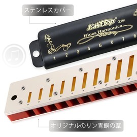 East top Harmonica Blues Harmonica 10 Hole Harmonica A Tone 10 Hole 20 Tone Brass Cover Canvas Case Clean Cloth for Beginners Experts Study Practice Diatonic Harmonica(T008K-BK-A)