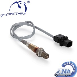 Dromedary 0281004148 Lambda Sensor Lamda Sensor Control Probe in Front of Catalytic Converter A1 A3 A4 A5 A6 A7 A8 Q3 Q5 Q7 R8 TT Cayenne 92A Ibiza III 6L1 Ibiza IV 6J5 Leon 1P1