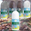 Kongseal Skin Refreshing Light Texture Goodbye Biteed Skin Soothing Essence 6pcs 50ml / 콩세알 피부산뜻함 가벼운텍스처 굿바이아물린 피부진정 에센스 6개 50ml