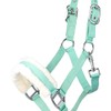 RL24 - Headcollar with Plush Padding Basicline | Halter for