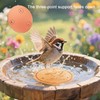 YUMEWARM 1Pack Bird Bath Copper Purification Disk | 0.6mm Reinforced