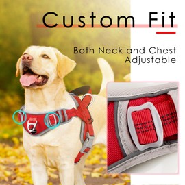 ADVENTUREMORE Dog Harness Small Sized Dog No Pull with QR Code Dog Tag, Adjustable Reflective Dog Vest Escape Proof Dog Harness with Easy Control Front Clip Handle for Training Walking L Rose Red