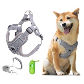 Patas Lague Dog Harness with Leash Set, No Pull No Choke Reflective Step in X Head Dog Harness Vest for Small Dogs with Poop Bags and Dispenser, Adjustable and Padded, Grey Extra Small