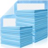 100 Pack Disposable Changing Pads, 17 X 13 Inch Disposable