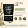 Mullein Leaf Extract 10:1 Capsules | 1000mg Per Serving |