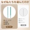 Selinear ストロー ブラシ 2本セット 6mm+9mm シリコン製 360°クリーン お手入れが簡単 曲げ可能 吊り下げ穴があり