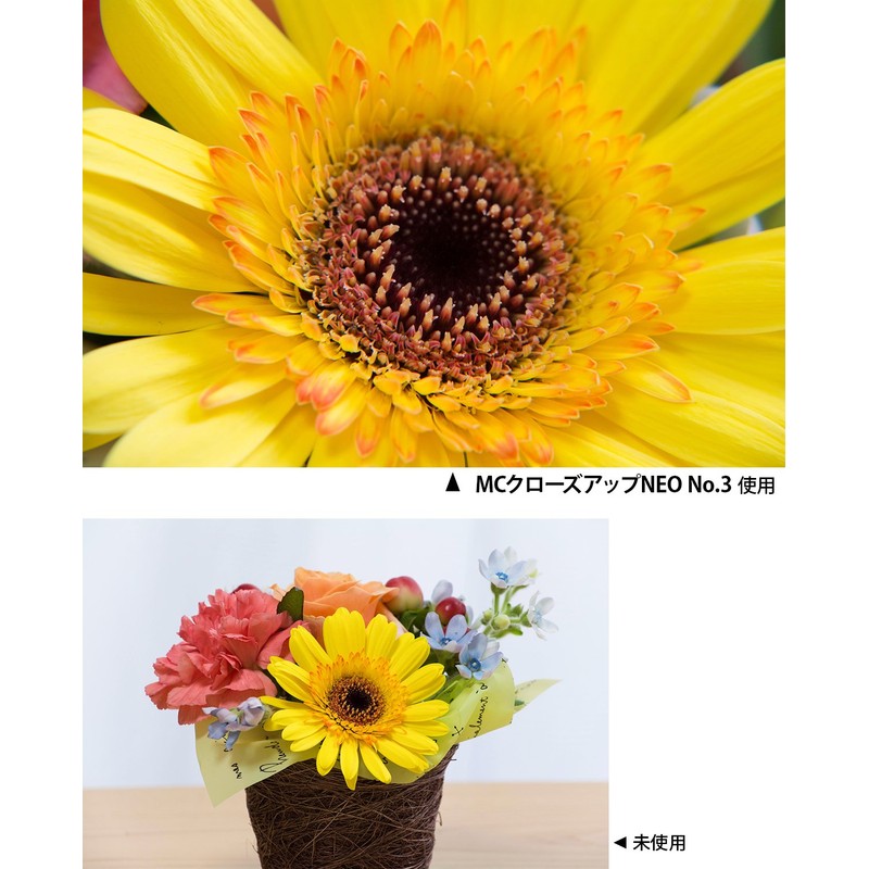 Kenko レンズフィルター MC クローズアップレンズ NEO No.3 58mm 接写撮影用 458198