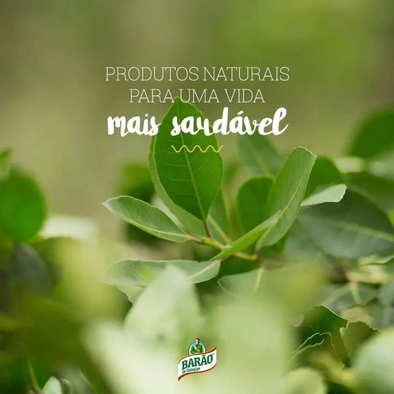 Erva-Mate Tereré Menta e Limão Fresh [Barão de Cotegipe] 500g